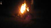 night praise