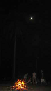 under d moonlight