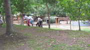 amazing race?...