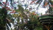 thanks God!