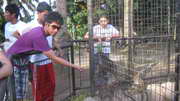 break time!.. turn to d animals :D