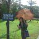 Observe traffic rules!.. Slow down CHICKENS CROSSING! :D